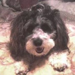 Meet your Posher, Tonya